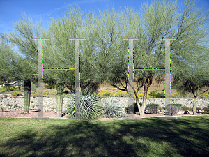 Picture of Parkinsonia florida 