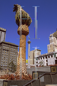 Picture of Phoenix canariensis 